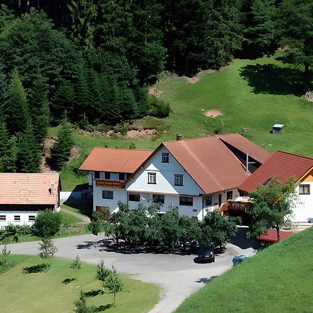 Apartamento Holderstanzenhof Bad Peterstal-Griesbach Exterior foto